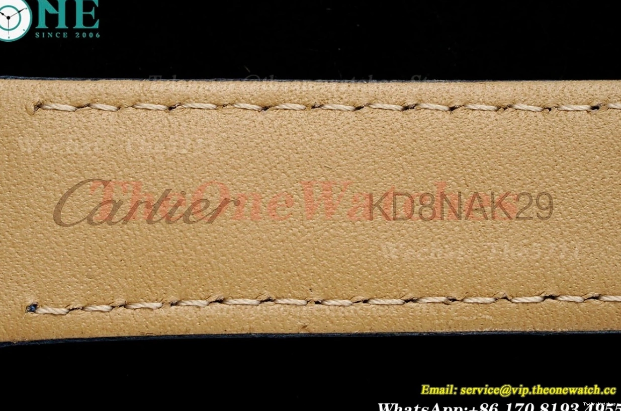 Dial Santos Quartz AF Blue LE Silver RG Dumont 0301